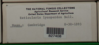 Image Associated With the Occurence